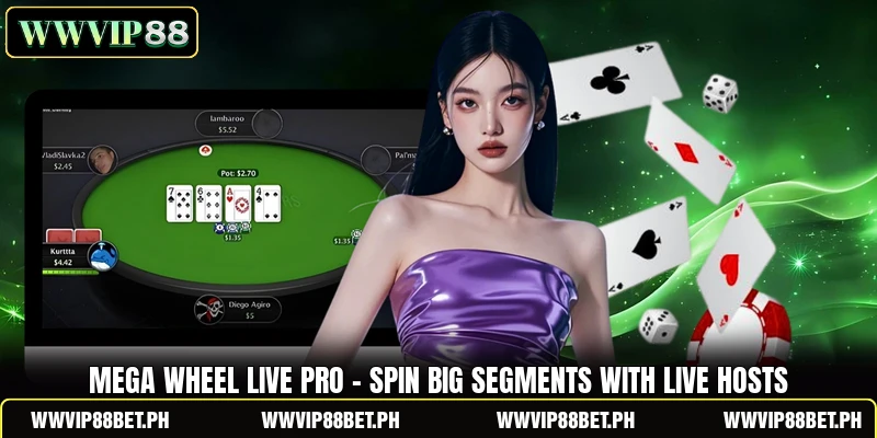 Mega Wheel Live Pro - Spin Big Segments With Live Hosts