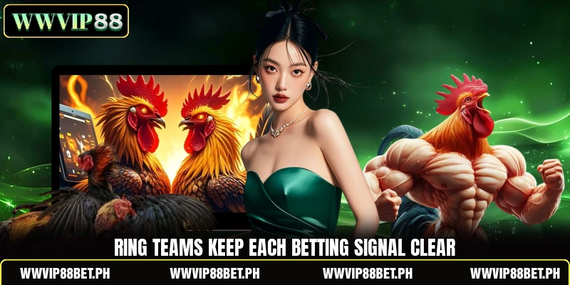 Ring teams keep each betting signal clear