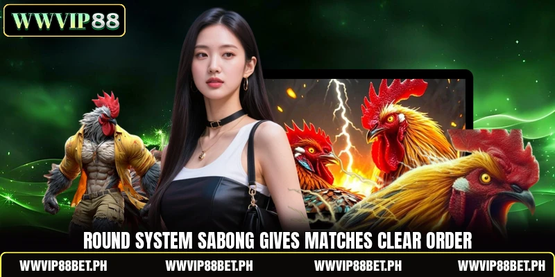 Round system sabong gives matches clear order Round system sabong gives matches clear order